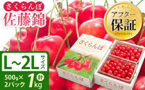 さくらんぼ佐藤錦&nbsp;秀品&nbsp;1kg(500g×2パック)&nbsp;L~2Lサイズ&nbsp;手詰め&nbsp;(2026年7月中旬から発送開始予定)_06075