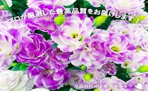 【冬春発送】与論島のトルコキキョウ【おまかせ】２０本以上【ポイント交換専用】