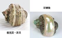 夜光貝を素材にした「チェーンペンダント」＜PL-1＞【貝工房かざはな】【ポイント交換専用】