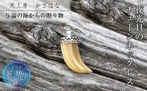 夜光貝を素材にした「チェーンペンダント」＜PL-2＞【貝工房かざはな】【ポイント交換専用】