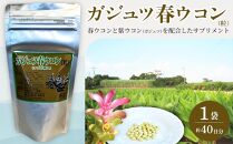 ガジュツ春ウコン（粒）1袋&nbsp;（約40日分）【ポイント交換専用】