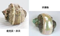 夜光貝を素材にした「ブローチ」貝工房かざはな【ＢＮ-６】【ポイント交換専用】