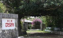 夜光貝を素材にした「ブローチ」貝工房かざはな【ＢＮ-６】【ポイント交換専用】