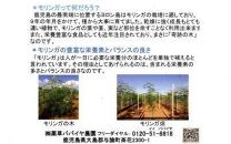 与論島のモリンガセット&nbsp;5種詰め合わせ【ポイント交換専用】