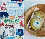 与論島のモリンガセット&nbsp;5種詰め合わせ【ポイント交換専用】