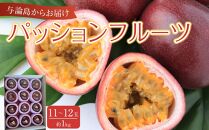 与論島産パッションフルーツ11玉～12玉　約1ｋｇ【先行予約：2026年6月中旬以降発送】|&nbsp;果物&nbsp;フルーツ&nbsp;パッションフルーツ&nbsp;1kg&nbsp;人気&nbsp;おすすめ&nbsp;おすすめフルーツ&nbsp;期間限定&nbsp;鹿児島県&nbsp;与論町【ポイント交換専用】