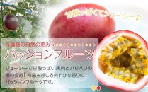 与論島産パッションフルーツ11玉～12玉　約1ｋｇ【先行予約：2026年6月中旬以降発送】|&nbsp;果物&nbsp;フルーツ&nbsp;パッションフルーツ&nbsp;1kg&nbsp;人気&nbsp;おすすめ&nbsp;おすすめフルーツ&nbsp;期間限定&nbsp;鹿児島県&nbsp;与論町【ポイント交換専用】