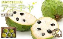 【先行予約】※数量限定　農薬未使用　森のアイスクリーム　アテモヤ2kg～2.4kg（凡そ5玉～8玉）【ポイント交換専用】