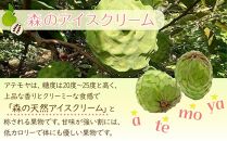 【先行予約】※数量限定　農薬未使用　森のアイスクリーム　アテモヤ2kg～2.4kg（凡そ5玉～8玉）【ポイント交換専用】