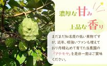 【先行予約】※数量限定　農薬未使用　森のアイスクリーム　アテモヤ2kg～2.4kg（凡そ5玉～8玉）【ポイント交換専用】