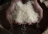 【定期便】【令和7年産】5kg×3ヶ月　厳選こだわり南魚沼産コシヒカリ「こまがた農園のお米」