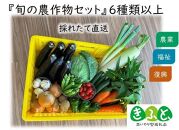 岡山県倉敷市 【野菜類】のお礼の品一覧 | JTBのふるさと納税サイト