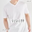 ◆サイズ：M◆【ドレスTシャツ】GIZAコットンフライス レギュラーフィット 半袖｜Vネック