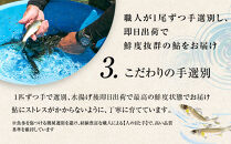 若あゆ（冷蔵配送）500g（5尾～7尾）OGATA養殖技術研究所&nbsp;南紀白浜