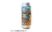 Tall&nbsp;Boys&nbsp;Brewing&nbsp;オリジナルクラフトビール詰め合わせ&nbsp;24本
