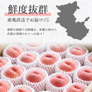 贈答用&nbsp;森本農園の手選別&nbsp;桃&nbsp;2kg