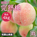 贈答用&nbsp;森本農園の手選別&nbsp;桃&nbsp;4kg