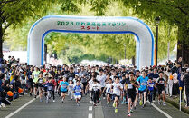 ２０２６びわ湖高島栗マラソン&nbsp;出走権１名分（ハーフマラソンの部）～メタセコイア並木を走ろう～