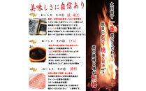 大川新名物！！ぎゃん丼(炭火豚丼)の具冷食2パック【メディア出演実績多数！！】