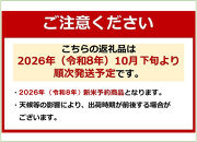 令和8年産新米予約【天水棚田米】特別栽培米雪蔵熟成塩沢産コシヒカリ精米5kg1回「とやの里山継承プロジェクト」【銘柄&nbsp;精米&nbsp;こしひかり&nbsp;コシヒカリ&nbsp;魚沼産&nbsp;新潟米&nbsp;お米&nbsp;米&nbsp;こめ】【2026年10月下旬より順次発送予定】