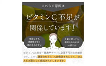 「Liposome&nbsp;Vitamin&nbsp;-&nbsp;5C」高濃度リポソーム&nbsp;ビタミンC&nbsp;パウダー&nbsp;サプリメント（約30日分・個包装スティック）リポソームビタミンCを含む5種類の高濃度ビタミンC・合成保存料フリー・合成着色料フリー・人工甘味料不使用&nbsp;リポC