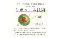 「Liposome&nbsp;Vitamin&nbsp;-&nbsp;5C」高濃度リポソーム&nbsp;ビタミンC&nbsp;パウダー&nbsp;サプリメント（約30日分・個包装スティック）リポソームビタミンCを含む5種類の高濃度ビタミンC・合成保存料フリー・合成着色料フリー・人工甘味料不使用&nbsp;リポC
