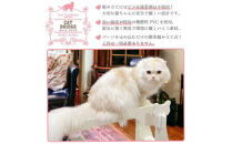 猫家具&nbsp;キャットファニチャーシリーズ&nbsp;猫の橋型ウォーク『キャットブリッジ』　※沖縄・離島への配送不可