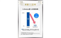 口臭ケア&nbsp;歯磨き粉&nbsp;ブレステック&nbsp;ハーブミント味&nbsp;1本&nbsp;ホワイトエッセンス&nbsp;[医薬部外品]&nbsp;|&nbsp;研磨剤なし&nbsp;フッ素&nbsp;IPMP&nbsp;CPC&nbsp;黄ばみ&nbsp;ヤニ取り&nbsp;茶渋&nbsp;自宅&nbsp;簡単&nbsp;歯&nbsp;歯科&nbsp;歯みがき粉&nbsp;歯磨き&nbsp;歯医者&nbsp;歯周病&nbsp;ブレスケア&nbsp;オーラルケア