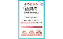 歯周病ケア&nbsp;歯磨き粉&nbsp;ペリオテクト&nbsp;シトラスミックス味&nbsp;1本&nbsp;ホワイトエッセンス&nbsp;[医薬部外品]&nbsp;|&nbsp;IPMP&nbsp;CPC&nbsp;歯周病&nbsp;歯槽膿漏&nbsp;予防&nbsp;対策&nbsp;研磨剤なし&nbsp;黄ばみ&nbsp;ヤニ取り&nbsp;茶渋&nbsp;美白&nbsp;自宅&nbsp;簡単&nbsp;歯科&nbsp;歯医者&nbsp;歯磨き&nbsp;歯みがき粉&nbsp;ブレスケア