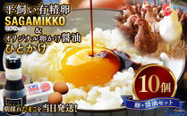 卵かけご飯&nbsp;相性抜群！【醤油セット】《かながわブランド認定》平飼い有精卵「さがみっこ」10個+オリジナル卵かけ醤油「ひとかけ」1本｜平飼い&nbsp;ケージフリー&nbsp;卵&nbsp;有精卵&nbsp;鶏卵&nbsp;玉子&nbsp;たまご&nbsp;生卵&nbsp;国産&nbsp;濃厚&nbsp;コク&nbsp;旨味&nbsp;たまごかけご飯&nbsp;朝食&nbsp;&nbsp;※離島への配送不可