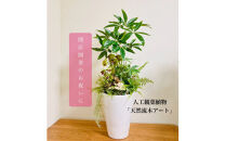 人工観葉植物&nbsp;天然流木アート『パキラ/陶器』