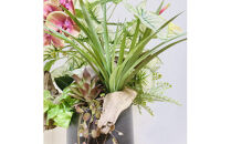 人工観葉植物&nbsp;天然流木アート『パキラ』
