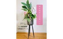 人工観葉植物&nbsp;天然流木アート『カラティア』