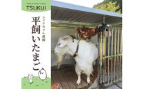 cometamaの平飼い卵&nbsp;30個&nbsp;｜&nbsp;ボリスブラウン&nbsp;新鮮&nbsp;平飼い&nbsp;ケージフリー&nbsp;鶏卵&nbsp;玉子&nbsp;たまご&nbsp;生卵&nbsp;国産&nbsp;たまごかけご飯&nbsp;朝食&nbsp;※離島への配送不可