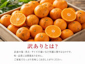 ［ご家庭用訳あり］有田みかん10kg&nbsp;2S〜2Lサイズ混合［UT152］