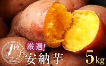 厳選！本場種子島産安納芋５kg【安納芋&nbsp;安納いも&nbsp;焼き芋&nbsp;焼芋&nbsp;やきいも&nbsp;さつまいも&nbsp;スイーツ&nbsp;デザート&nbsp;おやつ&nbsp;熟成&nbsp;蜜&nbsp;しっとり&nbsp;甘い&nbsp;&nbsp;鹿児島県&nbsp;種子島&nbsp;中種子町&nbsp;&nbsp;N131】【ポイント交換専用】