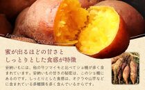 厳選！本場種子島産安納芋５kg【安納芋&nbsp;安納いも&nbsp;焼き芋&nbsp;焼芋&nbsp;やきいも&nbsp;さつまいも&nbsp;スイーツ&nbsp;デザート&nbsp;おやつ&nbsp;熟成&nbsp;蜜&nbsp;しっとり&nbsp;甘い&nbsp;&nbsp;鹿児島県&nbsp;種子島&nbsp;中種子町&nbsp;&nbsp;N131】【ポイント交換専用】