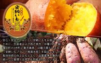 厳選！本場種子島産安納芋５kg【安納芋&nbsp;安納いも&nbsp;焼き芋&nbsp;焼芋&nbsp;やきいも&nbsp;さつまいも&nbsp;スイーツ&nbsp;デザート&nbsp;おやつ&nbsp;熟成&nbsp;蜜&nbsp;しっとり&nbsp;甘い&nbsp;&nbsp;鹿児島県&nbsp;種子島&nbsp;中種子町&nbsp;&nbsp;N131】【ポイント交換専用】