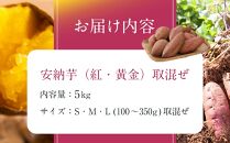 厳選！本場種子島産安納芋５kg【安納芋&nbsp;安納いも&nbsp;焼き芋&nbsp;焼芋&nbsp;やきいも&nbsp;さつまいも&nbsp;スイーツ&nbsp;デザート&nbsp;おやつ&nbsp;熟成&nbsp;蜜&nbsp;しっとり&nbsp;甘い&nbsp;&nbsp;鹿児島県&nbsp;種子島&nbsp;中種子町&nbsp;&nbsp;N131】【ポイント交換専用】