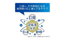 ブレスラボ&nbsp;マルチケア&nbsp;マイルドミント&nbsp;90g&nbsp;5本セット&nbsp;|&nbsp;歯磨き粉&nbsp;歯磨き&nbsp;ハミガキ&nbsp;デンタルケア&nbsp;フッ素&nbsp;虫歯予防&nbsp;口臭予防&nbsp;歯周病予防&nbsp;日本製