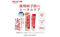 クリーンデンタル&nbsp;トータルケア&nbsp;100g&nbsp;1本&nbsp;|&nbsp;歯磨き粉&nbsp;歯磨き&nbsp;ハミガキ&nbsp;デンタルケア&nbsp;フッ素&nbsp;虫歯&nbsp;口臭&nbsp;歯肉炎&nbsp;歯周病&nbsp;歯槽膿漏&nbsp;予防