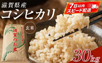 【令和7年産】近江米コシヒカリ玄米30kg
