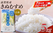 【令和7年産】近江米きぬむすめ白米5kg