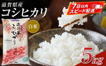 【令和8年産&nbsp;新米】近江米コシヒカリ白米5kg