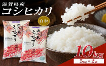 【令和8年産&nbsp;新米&nbsp;先行予約】近江米コシヒカリ白米10kg（5kg×2袋）※2026年9月～発送