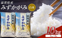 【令和8年産&nbsp;新米&nbsp;先行予約】近江米みずかがみ白米10kg（5kg×2袋）※2026年9月～発送
