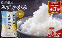 【令和8年産&nbsp;新米&nbsp;先行予約】近江米みずかがみ白米5kg×3回定期便※2026年9月～発送