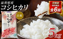 【令和8年産&nbsp;新米&nbsp;先行予約】近江米コシヒカリ白米5kg×6回定期便※2026年9月～発送