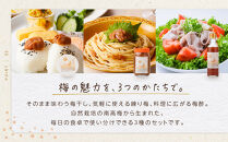 ひとみずの梅&nbsp;3種セット&nbsp;梅干し&nbsp;練り梅&nbsp;梅酢&nbsp;自然栽培で育てた紀州南高梅使用&nbsp;※栽培期間中、農薬・肥料・堆肥不使用
