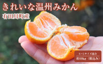 12/25までにご入金確認分は年内発送確定！きれいな温州みかん&nbsp;寄贈用にお勧め&nbsp;箱込み約&nbsp;10kg&nbsp;(S～Lサイズ混合)